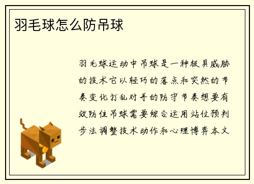 羽毛球怎么防吊球